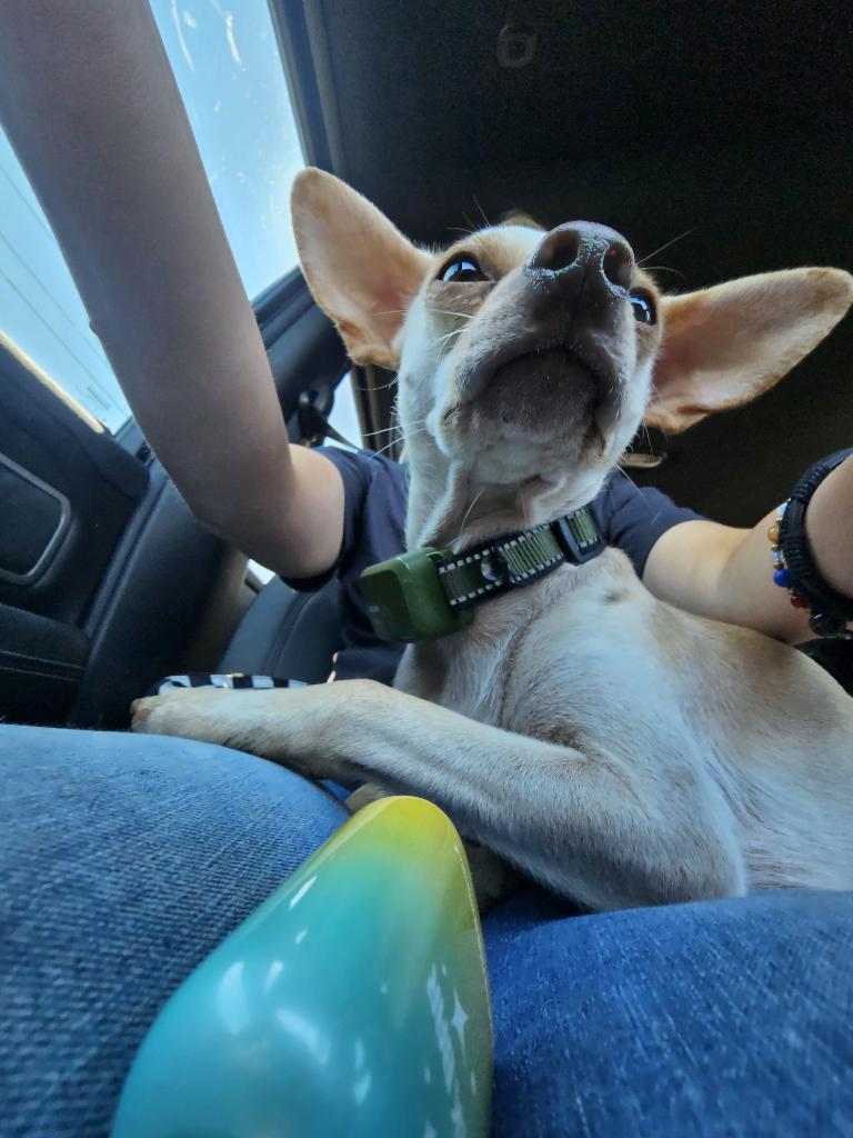 Lmao I dont know why I think this is so funny