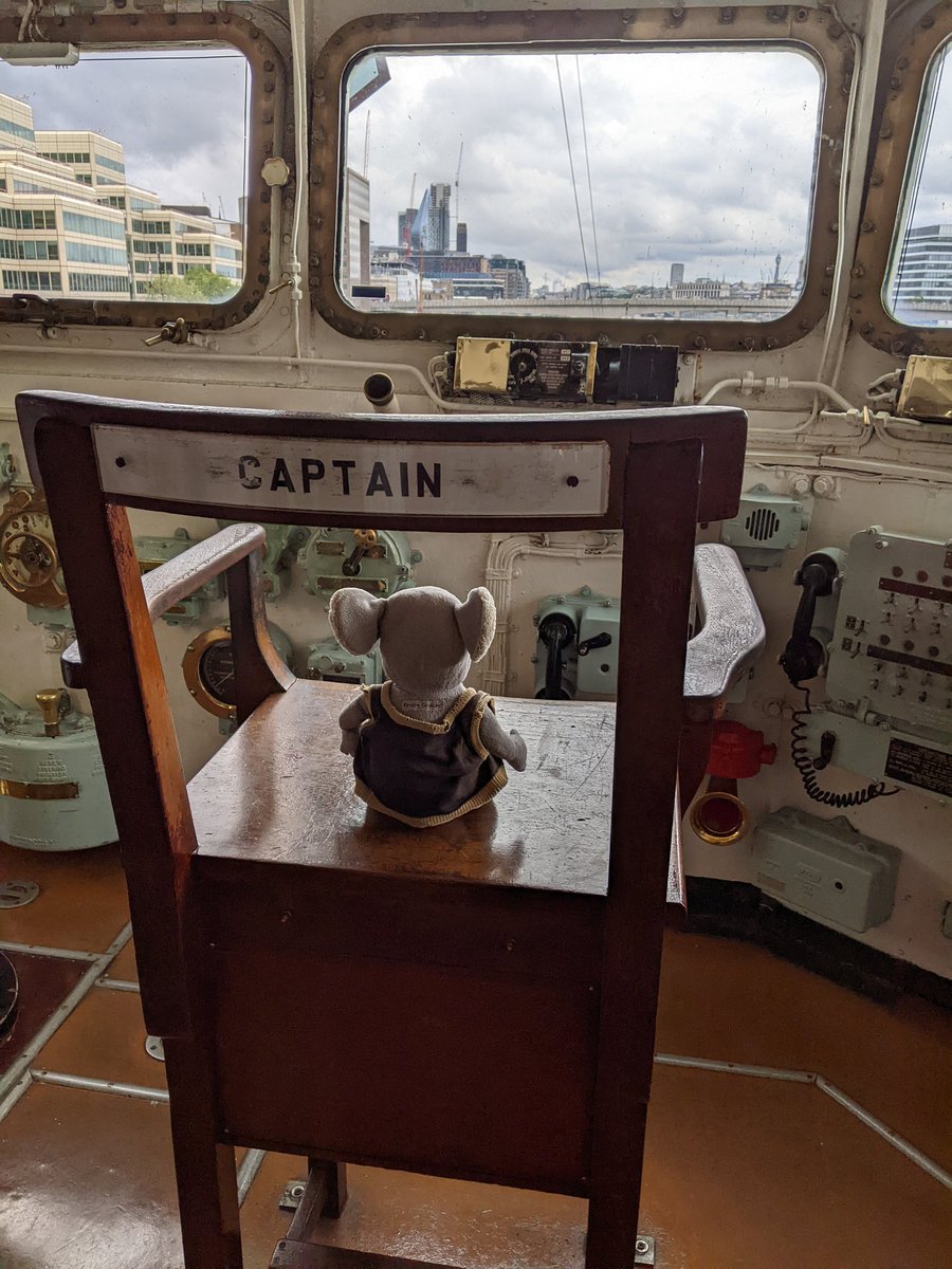 Nigel the koala tweet media