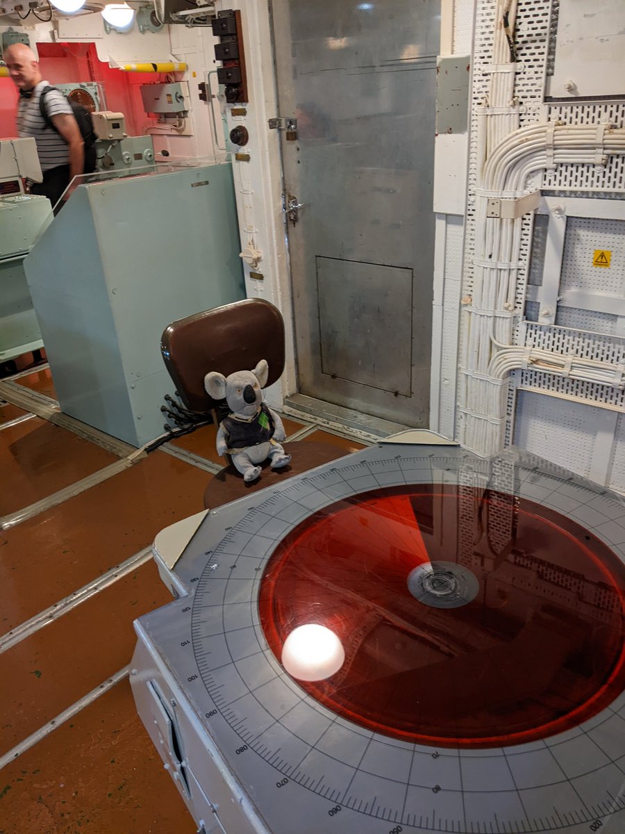 Nigel the koala tweet media