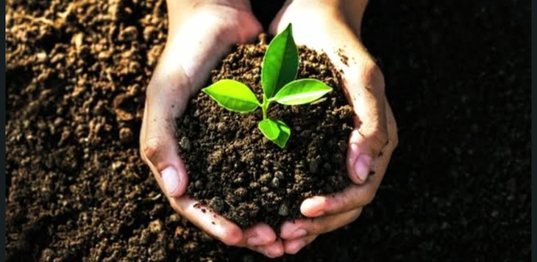 NaturalesMega's tweet image. MegaNaturales.com