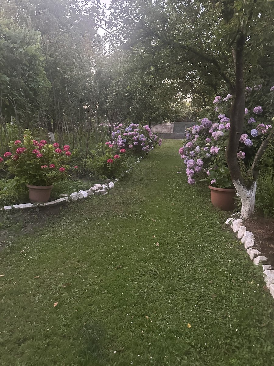 Maşukiye’den selamlar….