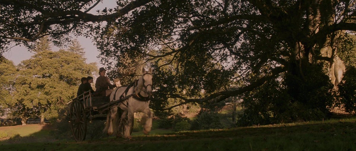 the chronicles of narnia: the lion, the witch and the wardrobe (2005)