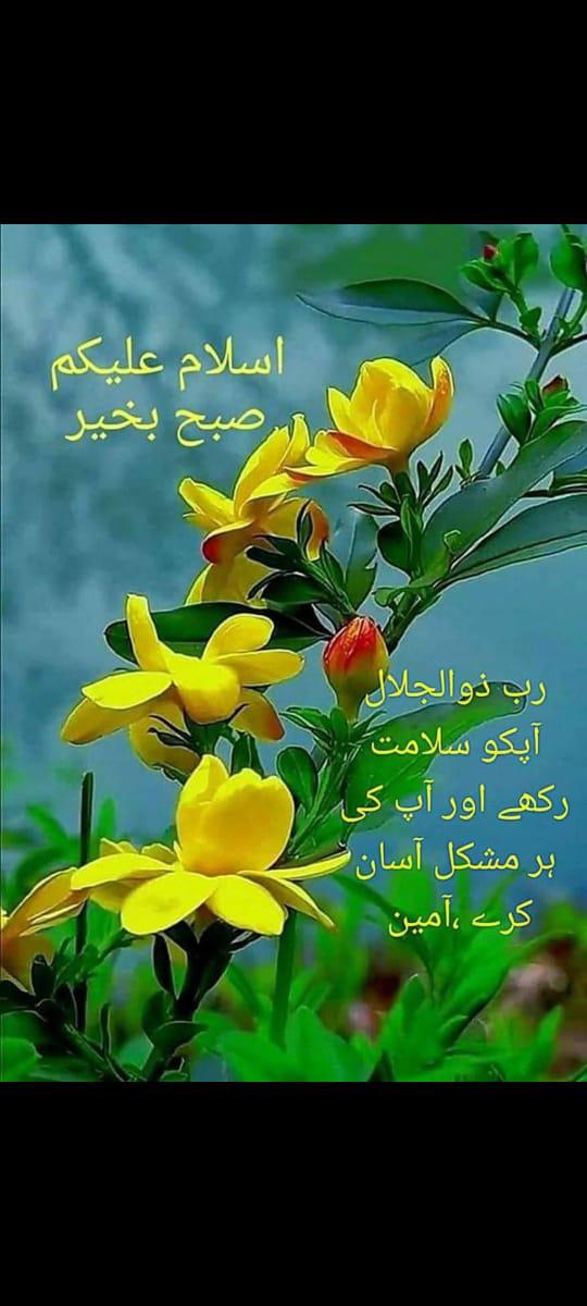 <a href="/133i1/">☼︎𝑫𝒆𝒎𝒐𝒄𝒓𝒂𝒕 عَـیْنَمّْ</a> <a href="/134i1/">𝑨𝒊𝒏𝒂 𝒄𝒉☼︎</a> <a href="/122i1/">𝑨𝒊𝒏𝒊 𝑺𝒂𝒈𝒊𝒕𝒕𝒂𝒓𝒊𝒖𝒔</a> <a href="/ab_zz1/">Abdul Razzaq</a> <a href="/PRani_7/">Professor Sundas (I Stand With Civil Supremacy)</a> وعلیکم السلام ❤️🌹❤️