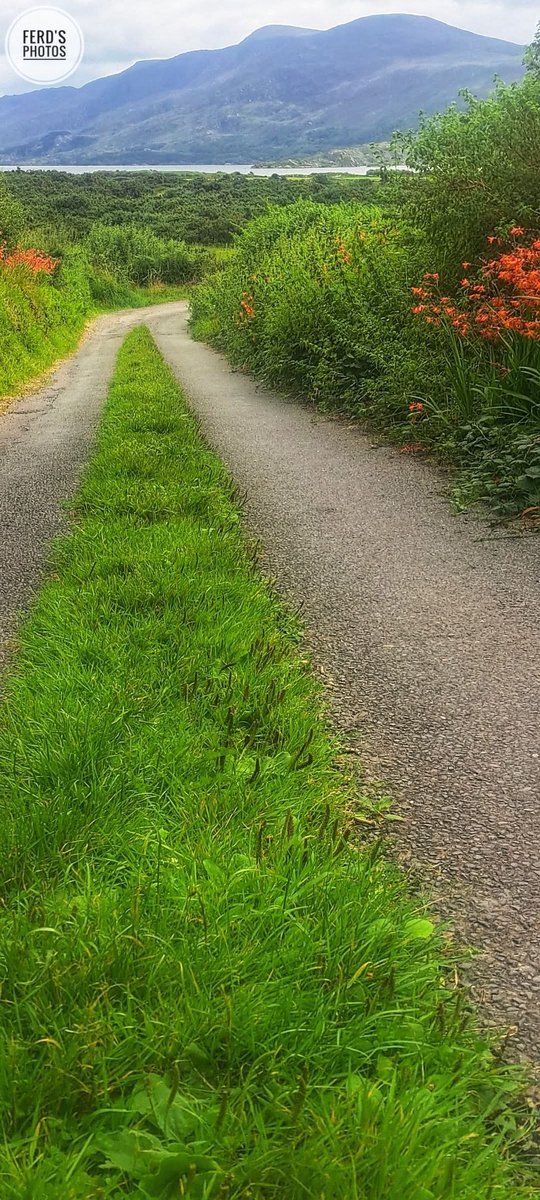 ThisIsIreland3's tweet image. Don&apos;t leave anything for later.
Later, the coffee gets cold.
Later, you lose interest. 
Later, the day turns into night. 
Later, people grow up.
Later, people grow old.
Later, life goes by.
Later, you regret not doing 
something when you had the chance 💚
📸Ferd&apos;s Photos