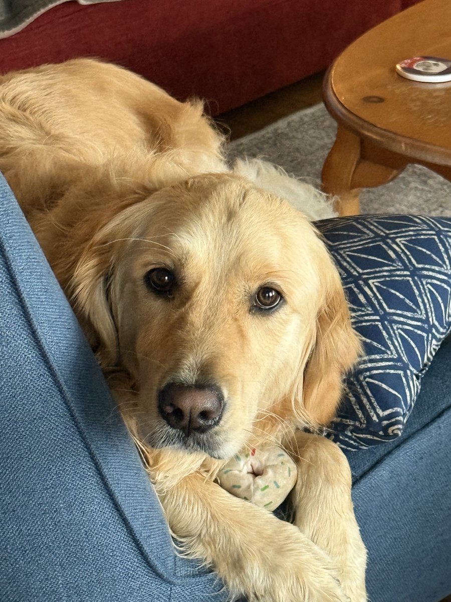 Shirley Bloomfield (@sbloomfield15) on Twitter photo When your latest business trip requires a drive AND you can find a pet friendly alternative to the hotel - everyone is happy! Ready for the <a href="/NTCAconnect/">NTCA-The Rural Broadband Association</a> trustee meeting ahead to ensure great benefits for our members. #R&S and Savings#BroadbandBuiltToLast When your latest business trip requires a drive AND you can find a pet friendly alternative to the hotel - everyone is happy! Ready for the <a href="/NTCAconnect/">NTCA-The Rural Broadband Association</a> trustee meeting ahead to ensure great benefits for our members. #R&S and Savings#BroadbandBuiltToLast