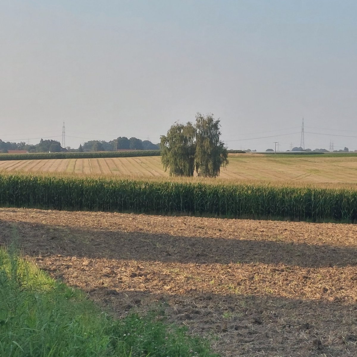 Mit bayrischen Farben im August allen ein schönen Abend und mit Nachsicht an den Mitmenschen