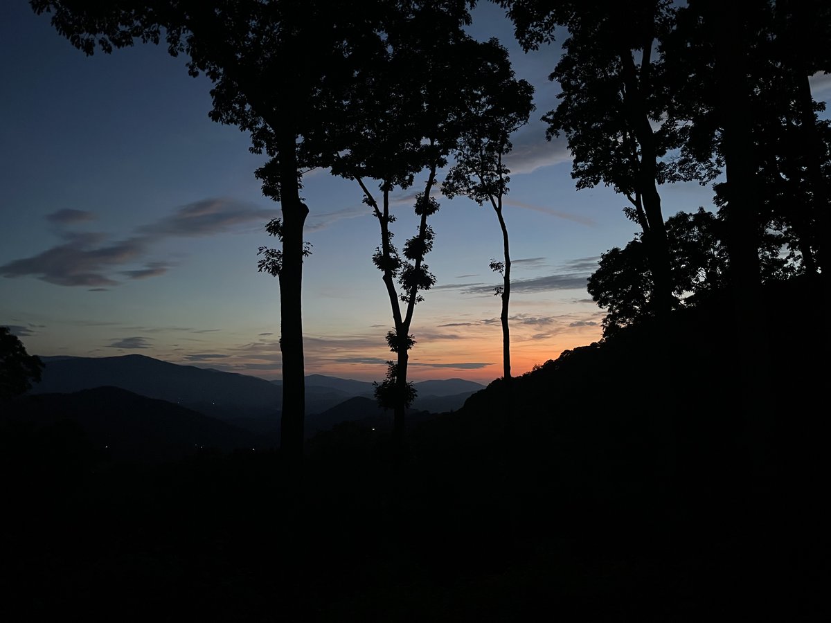 GriffEyePhotography tweet media