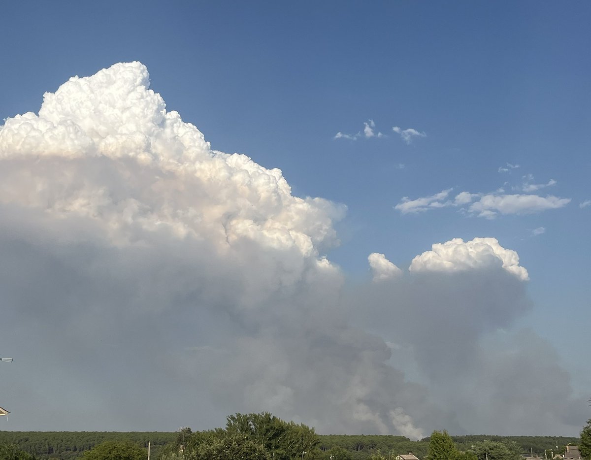 Jesús RomerCan tweet media