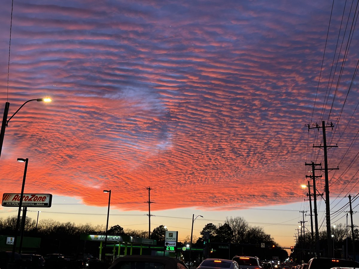 GriffEyePhotography tweet media