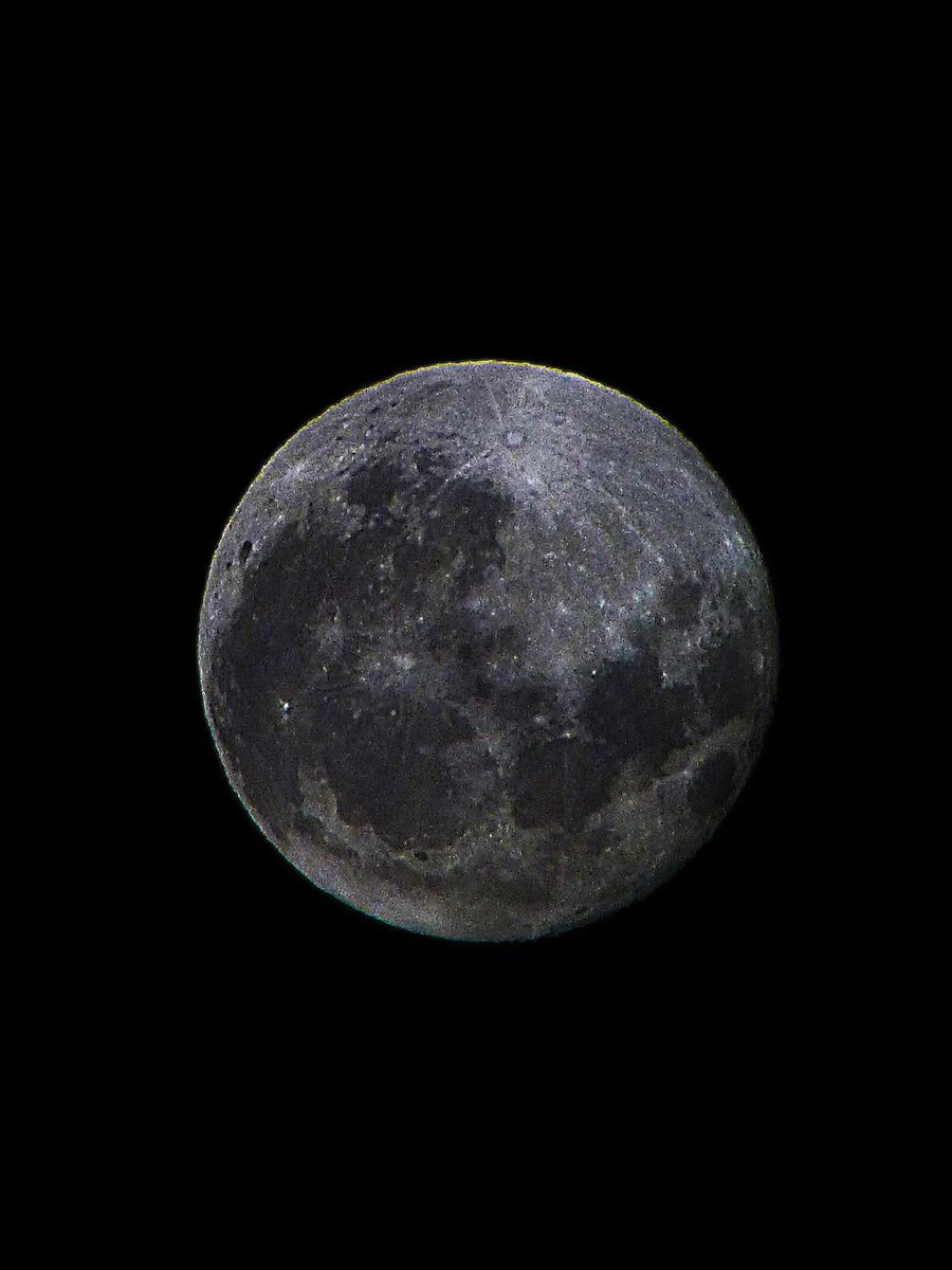 Dave Piper tweet media