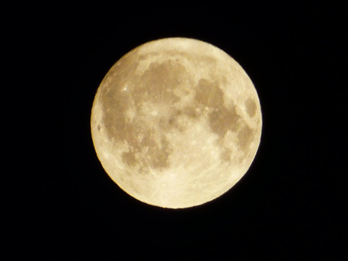 Dave Piper tweet media