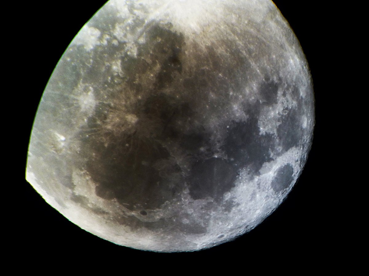 Dave Piper tweet media