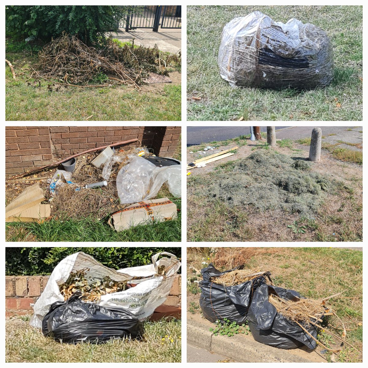 This week's sample of dumped green waste. 

#Hillingdon #WestDrayton #GreenWaste #FlyTipping