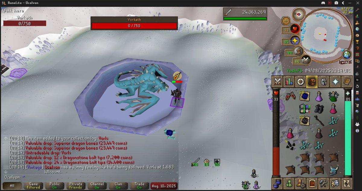 The bingo highlight for me. 10 hours of vorkath to lead to a pet. and a dupe after like 10 kc. Hurray