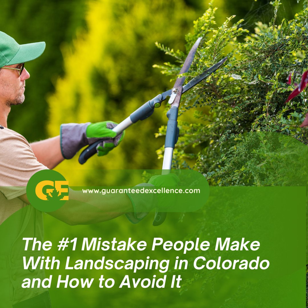GuaranteedExcel's tweet photo. Planting the wrong species for our semi-arid, high-altitude climate can mean wasted time, money &amp; water.
Go native instead:
Rocky Mountain Penstemon
Rabbitbrush
Serviceberry 
Blue Grama Grass
Blanket Flower
These Colorado-friendly plants thrive with less maintenance. https://t.co/gTQIPQy5kQ
