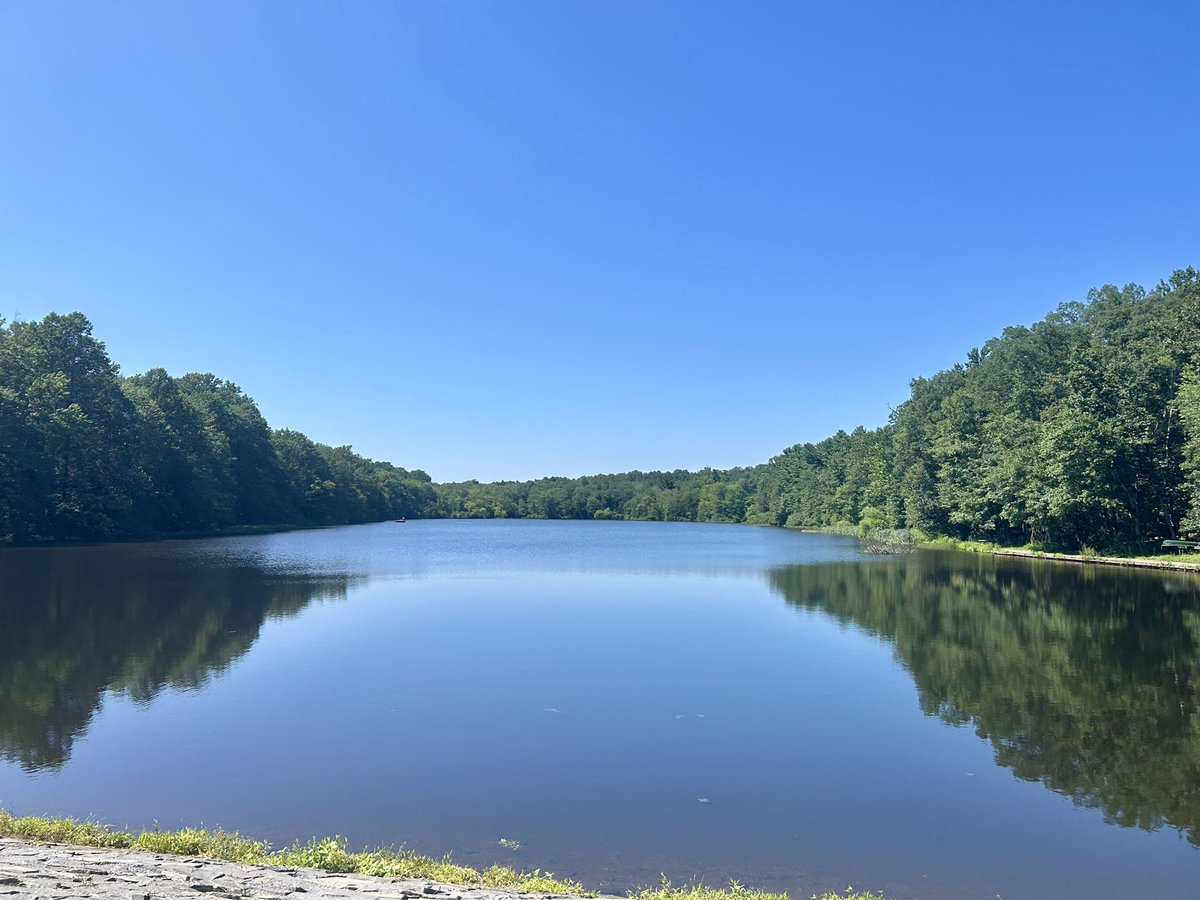 Essau1969's tweet image. #SundayFunday #Foray 🥾🍄#MushroomClub #Mycology 🍄🥾