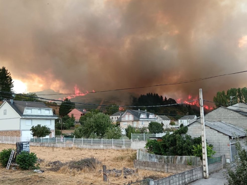 Malnacidos los que usan el fuego para causar daño. Malnacidos los pirómanos que prenden quemando nuestros montes, nuestra flora y fauna, nuestras casas. #ElBierzo está asolado de incendios con pérdidas inimaginables. Cuanta desolación. Cuanta tristeza. Cuanta impotencia🙏