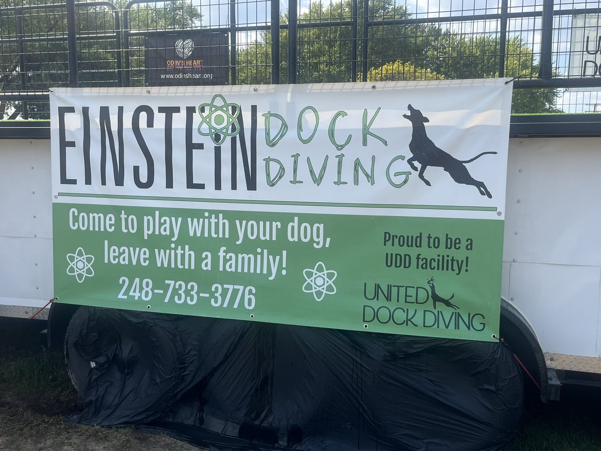 SportsAndChup's tweet image. Special thanks to @lauren_4009 for introducing Sports Jim to The 
World of Dock Diving!!!

Gordie was a Good Boy &amp;amp; got 3rd!!!

#BestDayEver