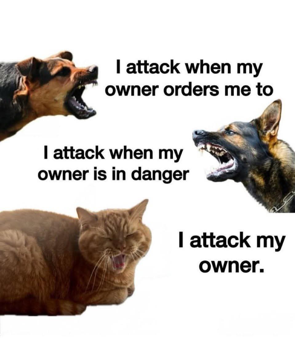 BOB (@b0__bby) on Twitter photo 