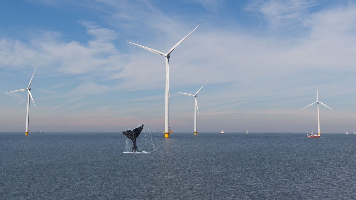 ByGoons's tweet image. Wanna trigger a MAGAt? Unlike the Sweeney thing…this, is self admitted.