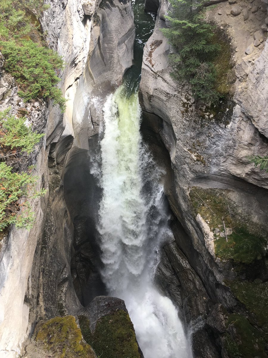 KZavus's tweet image. In my excitement and anticipation for my upcoming camping trip in 3 days, I’ll drop a few #Camping #ProTips and pictures as a countdown.

🏕️#1 instead of buying ice for the cooler, fill old juice jugs w/water, freeze w/lids off 3 days before.
No more watery coolers/soggy food.