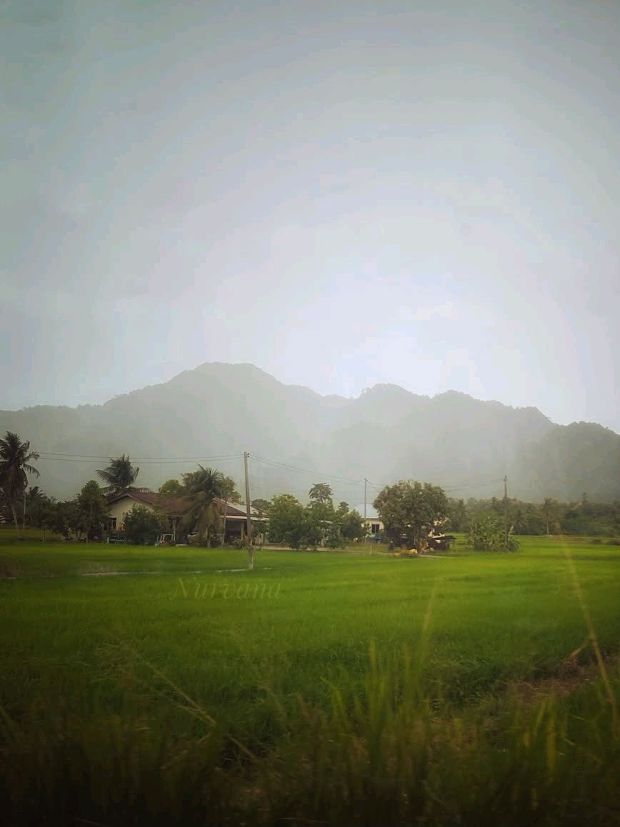 SALAM PERLIS

11 Ogos 2025 | 17 Safar 1447H

Selamat Pagi | Titi Tinggi, Padang Besar, Perlis 

Kredit 📸 : IG <a href="/nurfahiza/">Eza</a>

#PerlisPermai #SelamatPagi #SalamPerlis #VisitPerlis #TahunMelawatPerlis #TMP20242025 #Perlis💛💙 #Malaysia🇲🇾