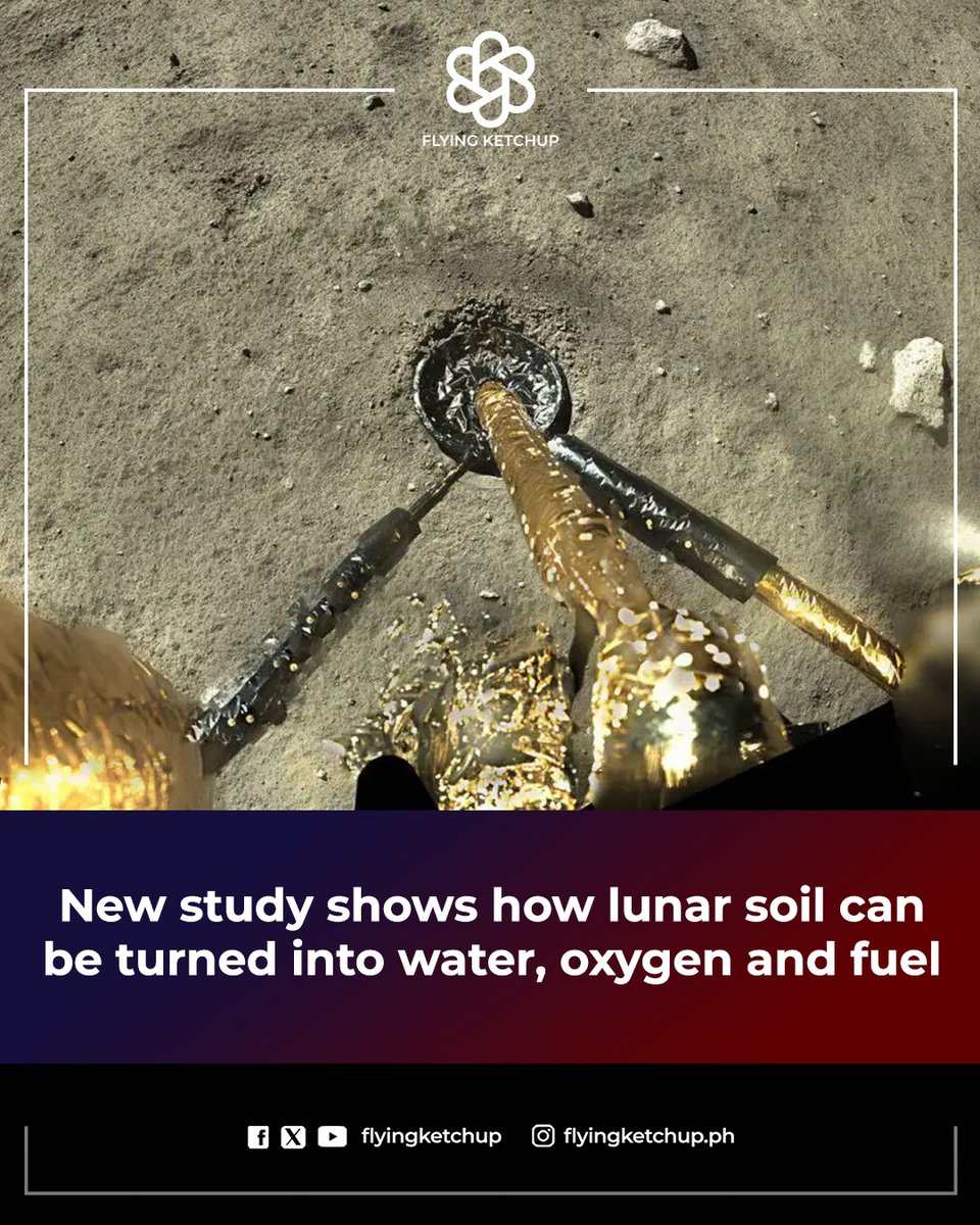 NEW DISCOVERY: A recent study reveals lunar soil's potential for producing vital resources like water,
oxygen, and rocket fuel using a solar-powered device.

FULL STORY: tinyurl.com/2ydgfe66

#FlyingKetchup