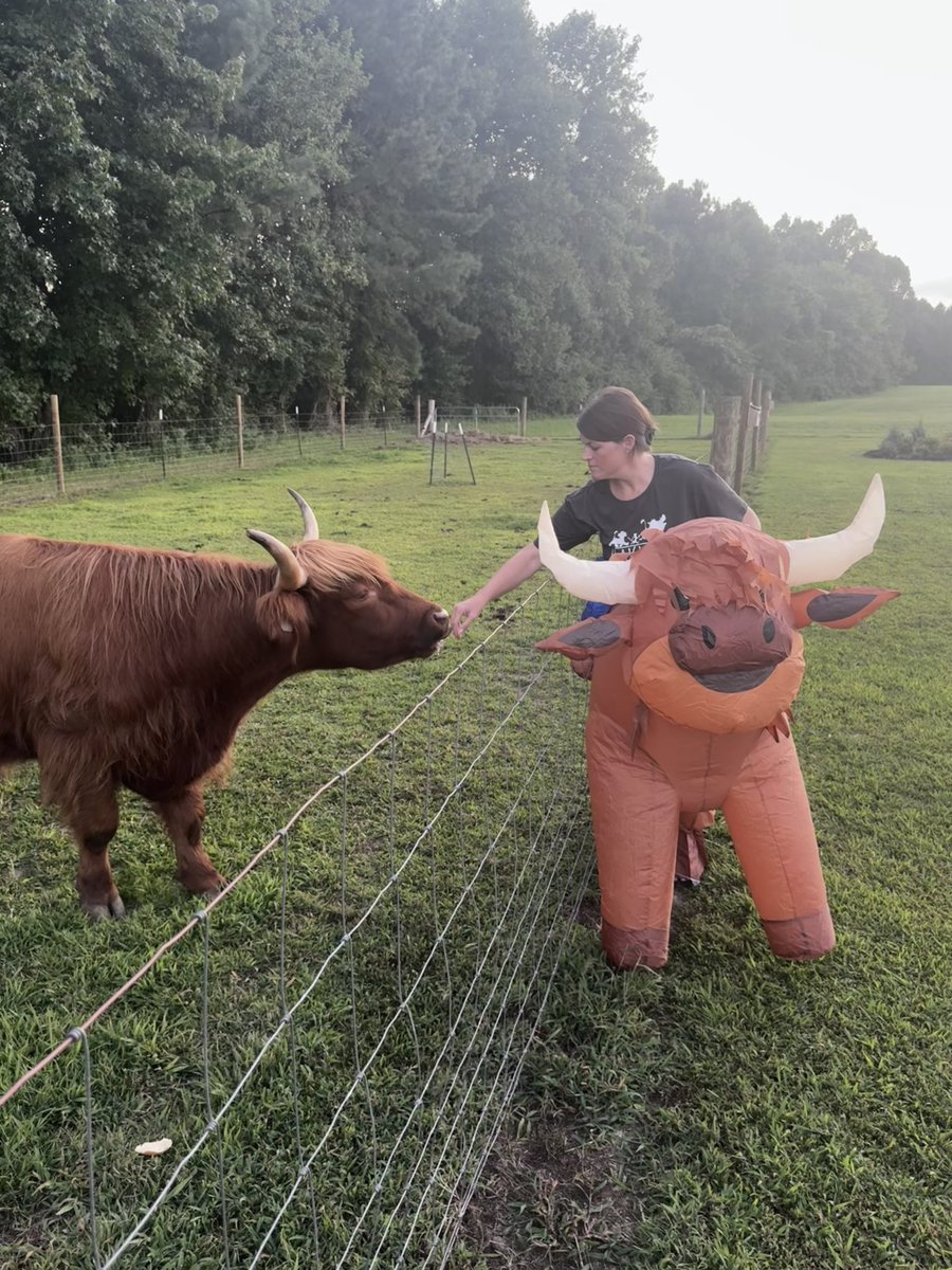 Ms. K P 👩🏻‍🏫 tweet media