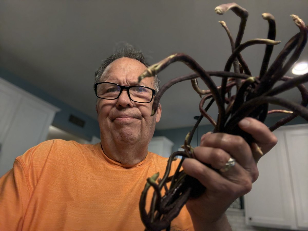 Sadly, farmers market purchases don’t come with directions!!