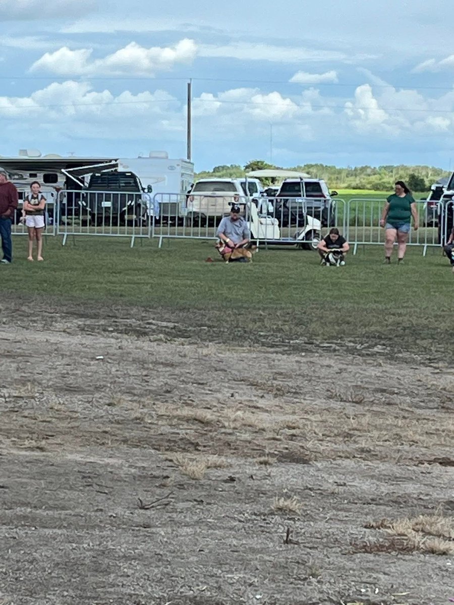 Shane Terry tweet media