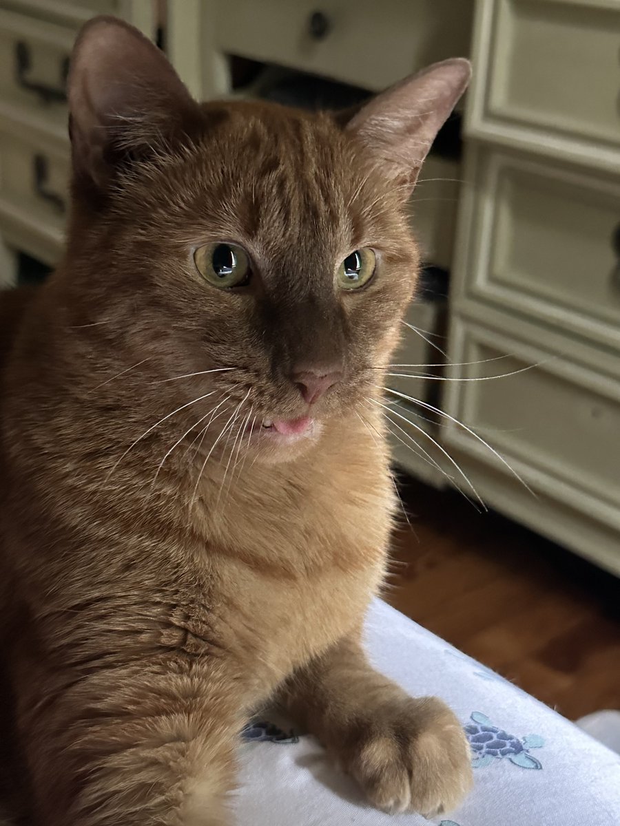 Patrick Skinner tweet media