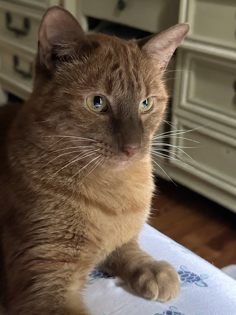 Patrick Skinner tweet media