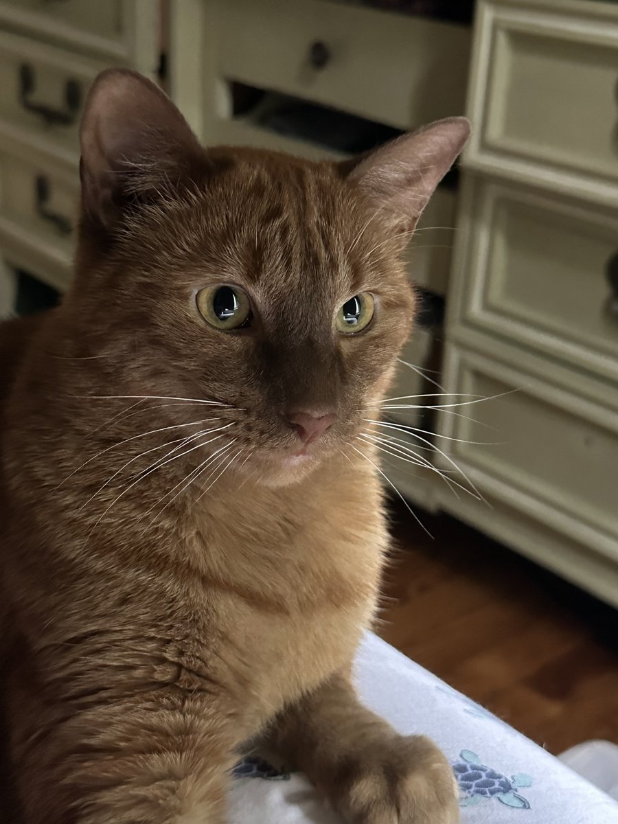 Patrick Skinner tweet media