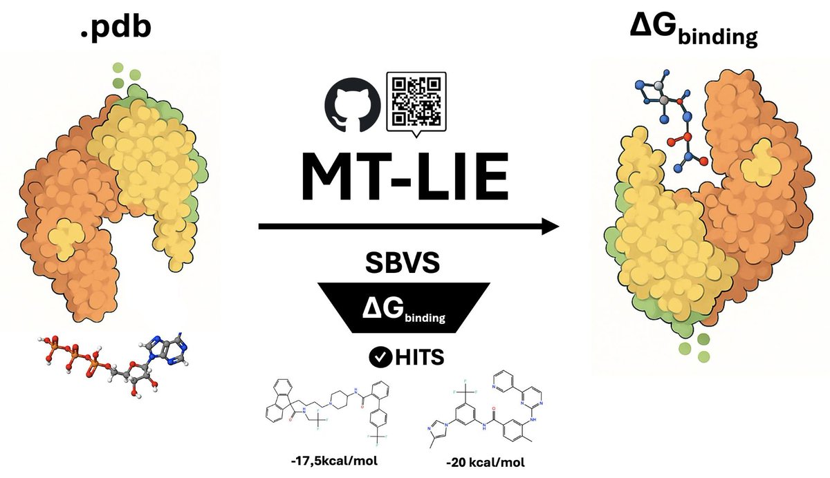 *COBO seminario*
"MT-LIE:  Automated LIE Binding Free Energy Calculations and ML-Guided Virtual  Screening for MDM2–p53 Inhibitors in Colon Cancer."
Marcia Yineth Castillo Tarazona
miércoles 13 de agosto, 2 PM
salón Q_406
Universidad de los Andes, Bogotá (Colombia)
<a href="/MarciaC18/">Marcia Castillo</a>