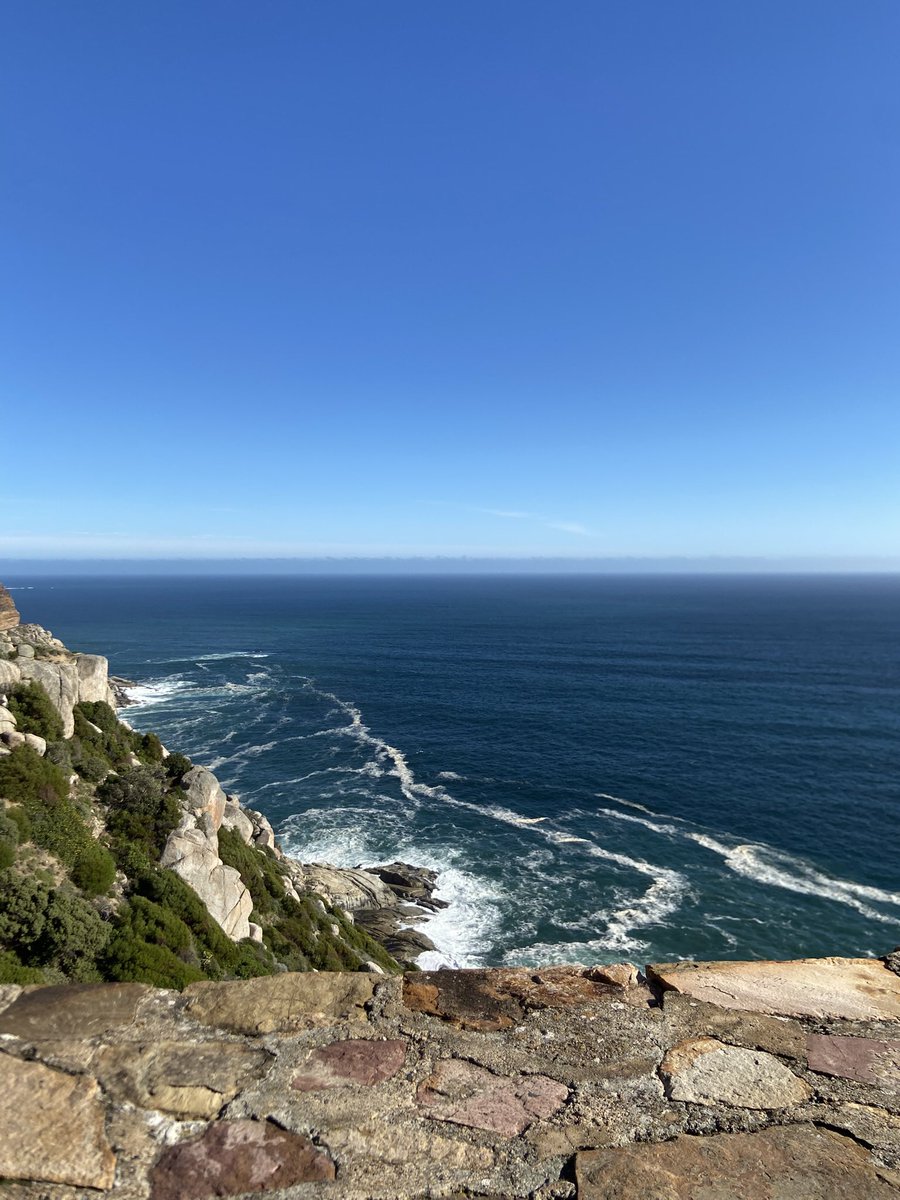 Muhannad tweet media