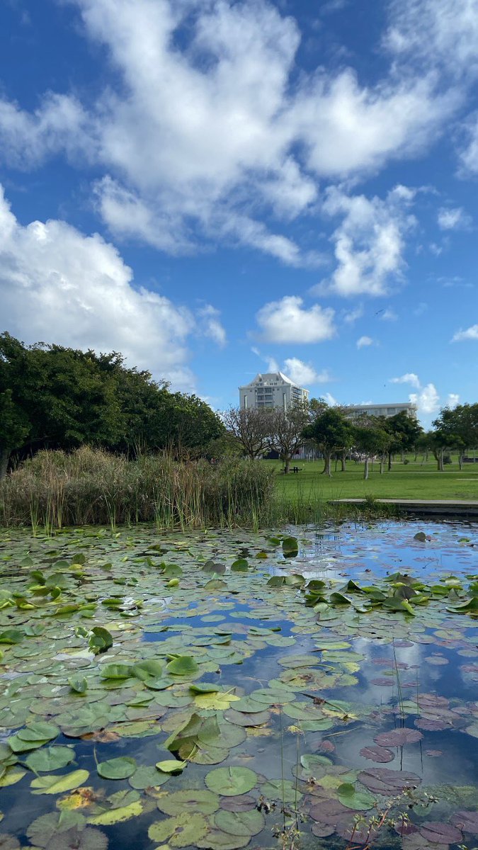 Muhannad tweet media