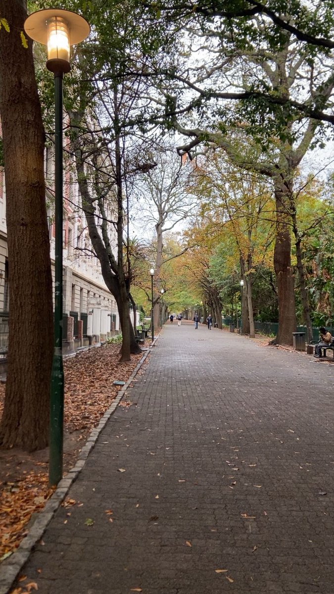 Muhannad tweet media