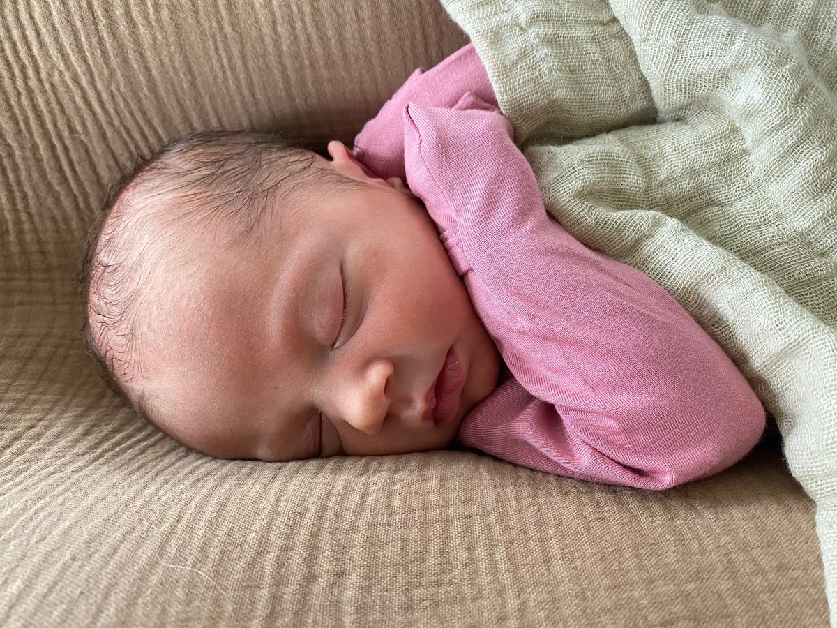 Jeff Gravley tweet media