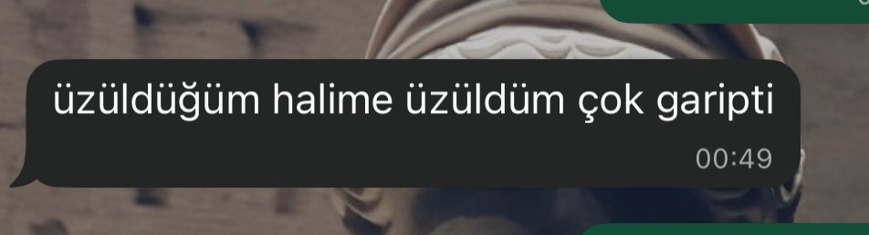 aynen gençliğimizin baharındayız