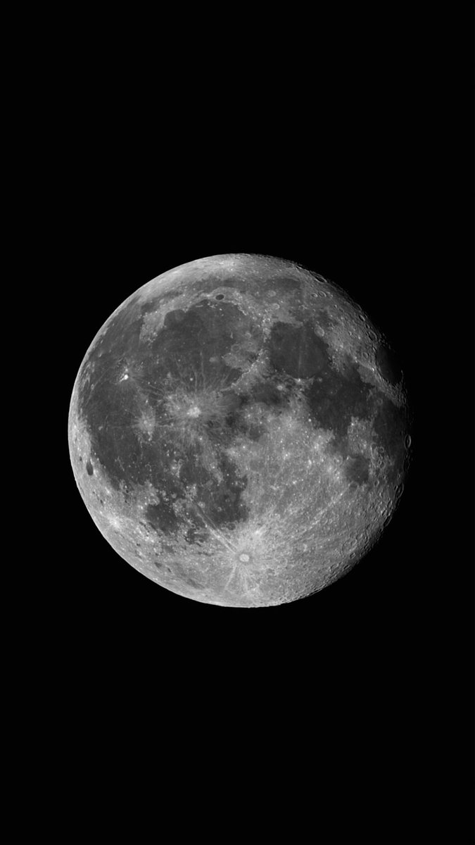 szczurzyk's tweet photo. Barkocin Moon 🌙 https://t.co/66ljLX7UKA