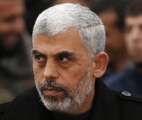 كفرو tweet media