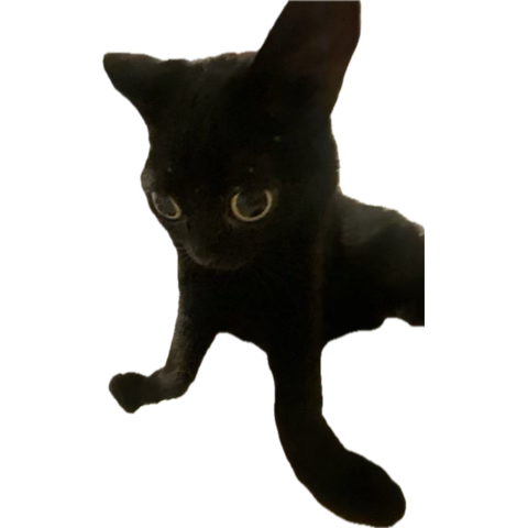 Butters47480461's tweet photo. @ki11ustr4tions Is there a deal we can make maybe https://t.co/BSq3tWLCeb