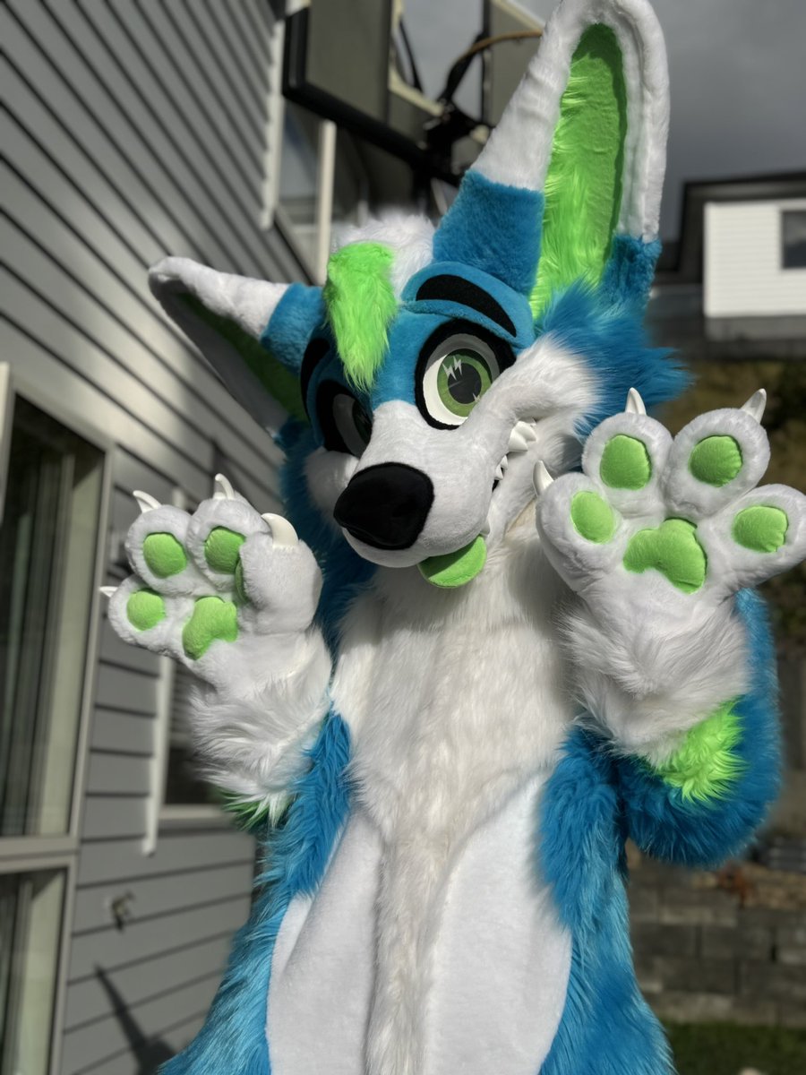 Soaking up the sun ☀️ 

#fursuit #fursuiting #fursuitphotos
<a href="/MoreFurLess/">More Fur Less</a>