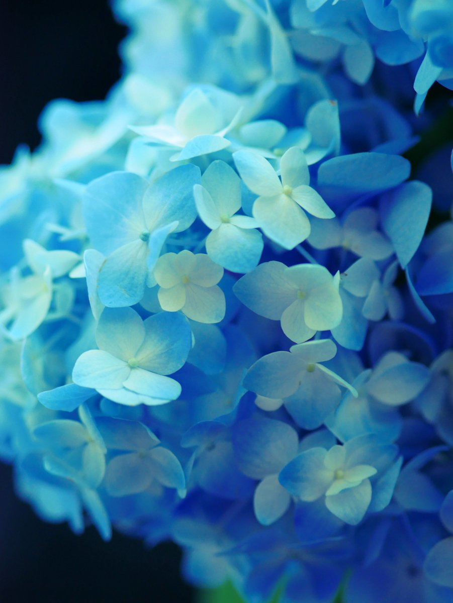 rainphase_'s tweet photo. 雨の月曜日 https://t.co/rHnvjWh2KJ