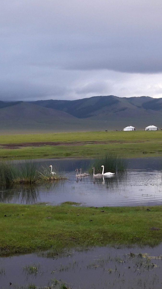 Өргөн дэлхийд шинэ сайхан долоо хоног, шинэ сайхан өдөр эхэллээ. Шинэ өдрүүдээ зоригтой золбоотой, зорьсон үйлдээ зүтгэлтэй өнгөрүүлээрэй. 
Өглөөний мэндээ Өргөн олон.😊🌹🌷💐