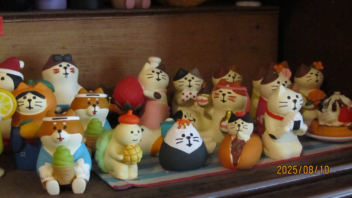 gazingstill (@gazingstill) on Twitter photo 