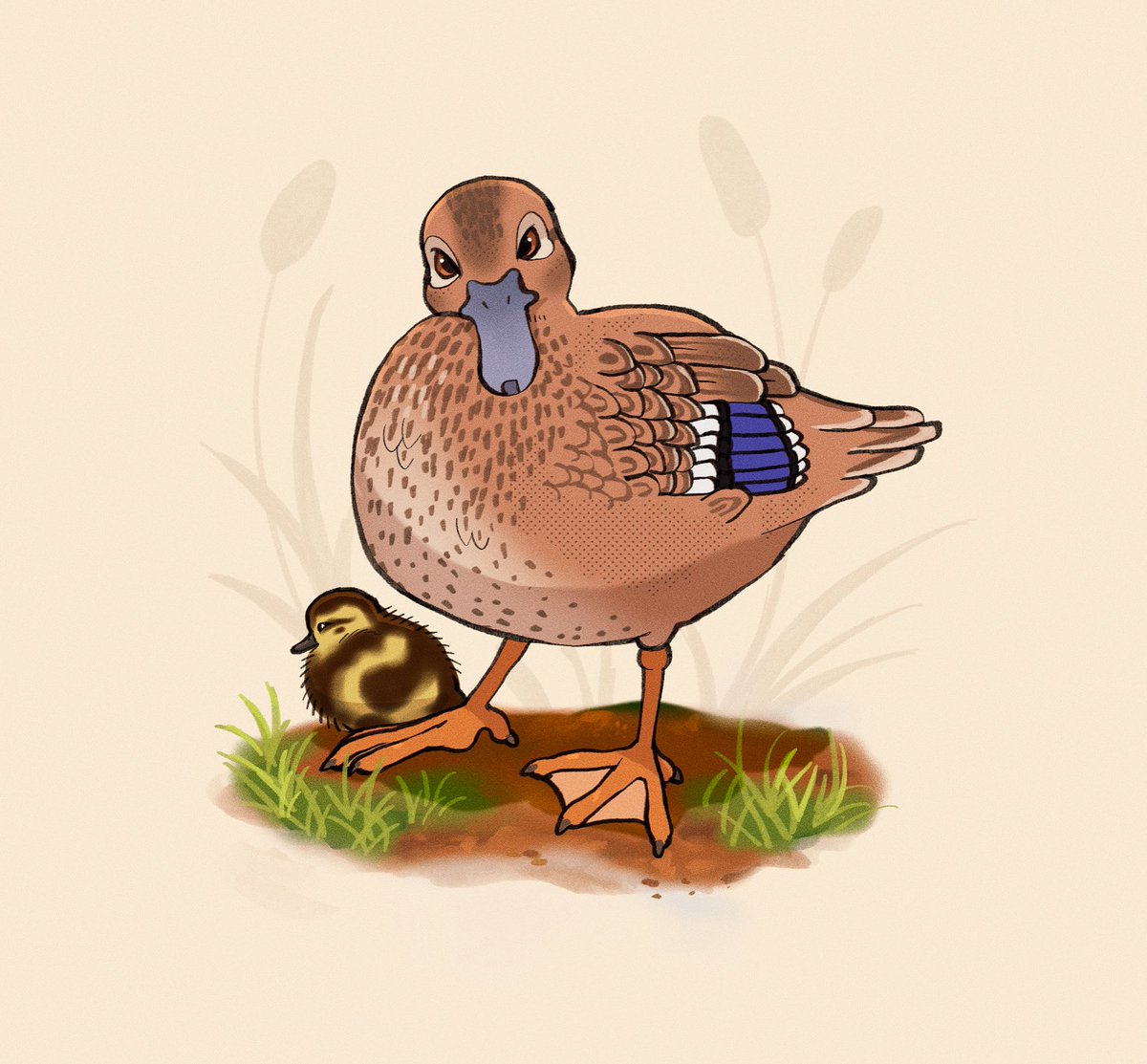 nat 🌰 tweet media