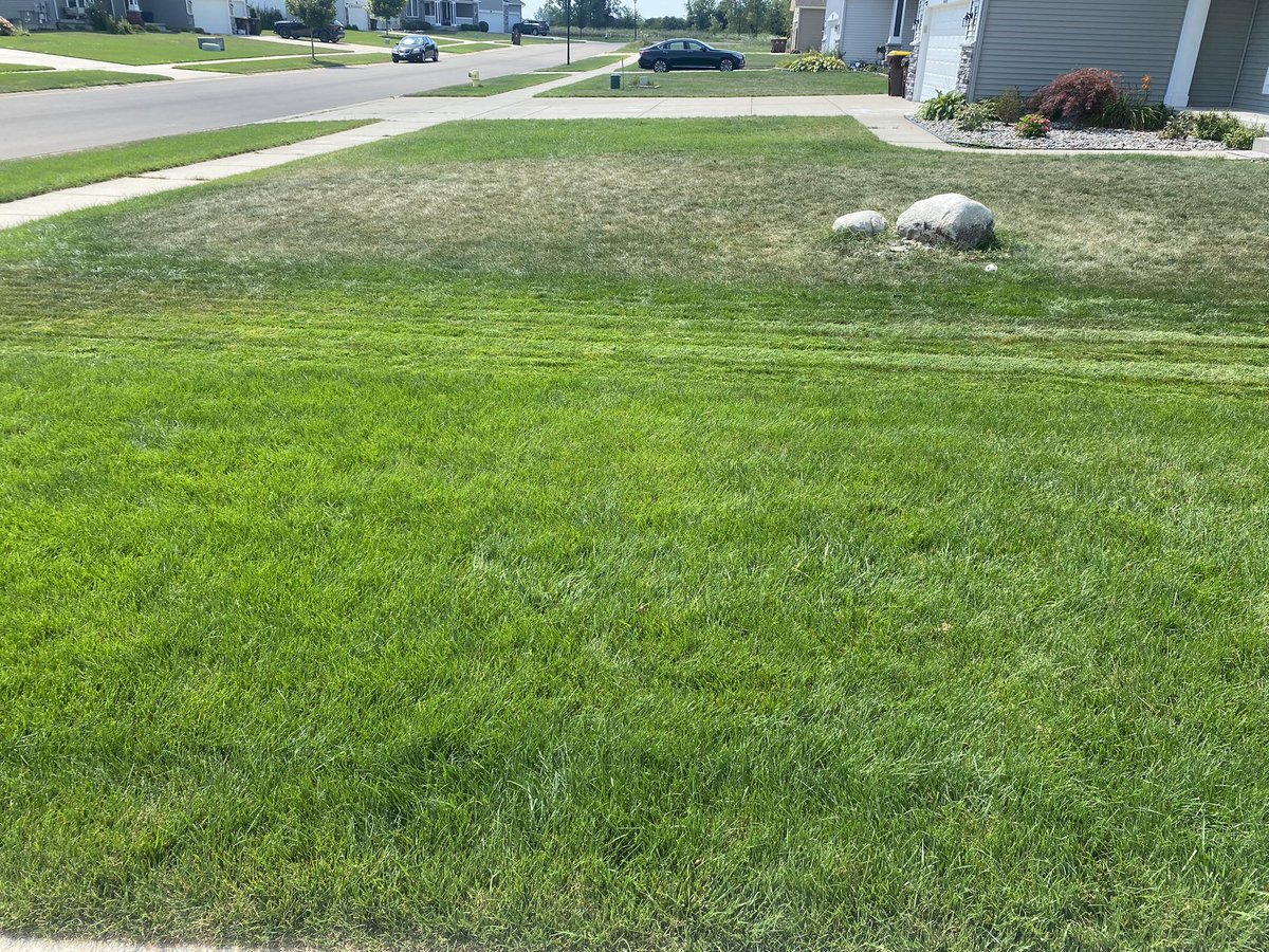 Stephen Lord, CSFM tweet media