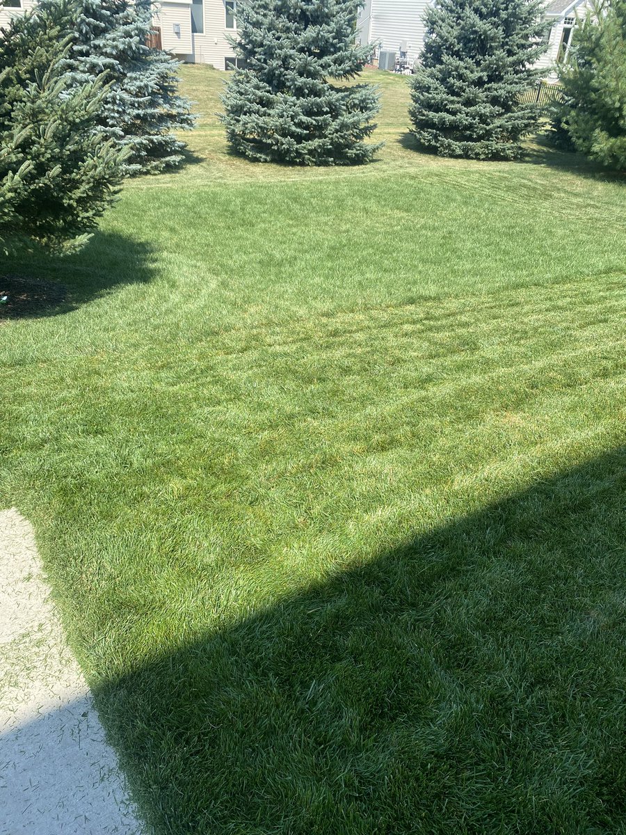 Stephen Lord, CSFM tweet media