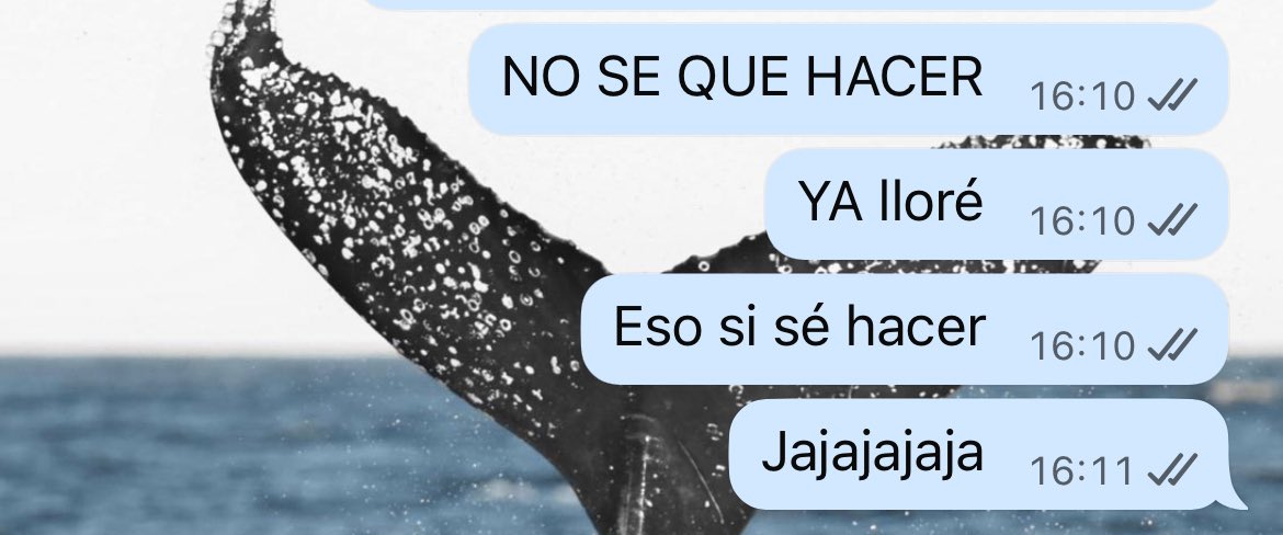 Being (@andreacantuf) on Twitter photo 